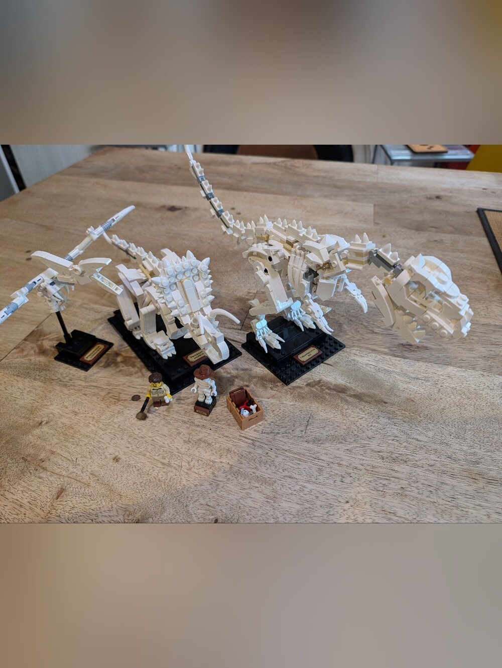 🦴 LEGO Set 21320 — Dinosaur Fossils  - Complete